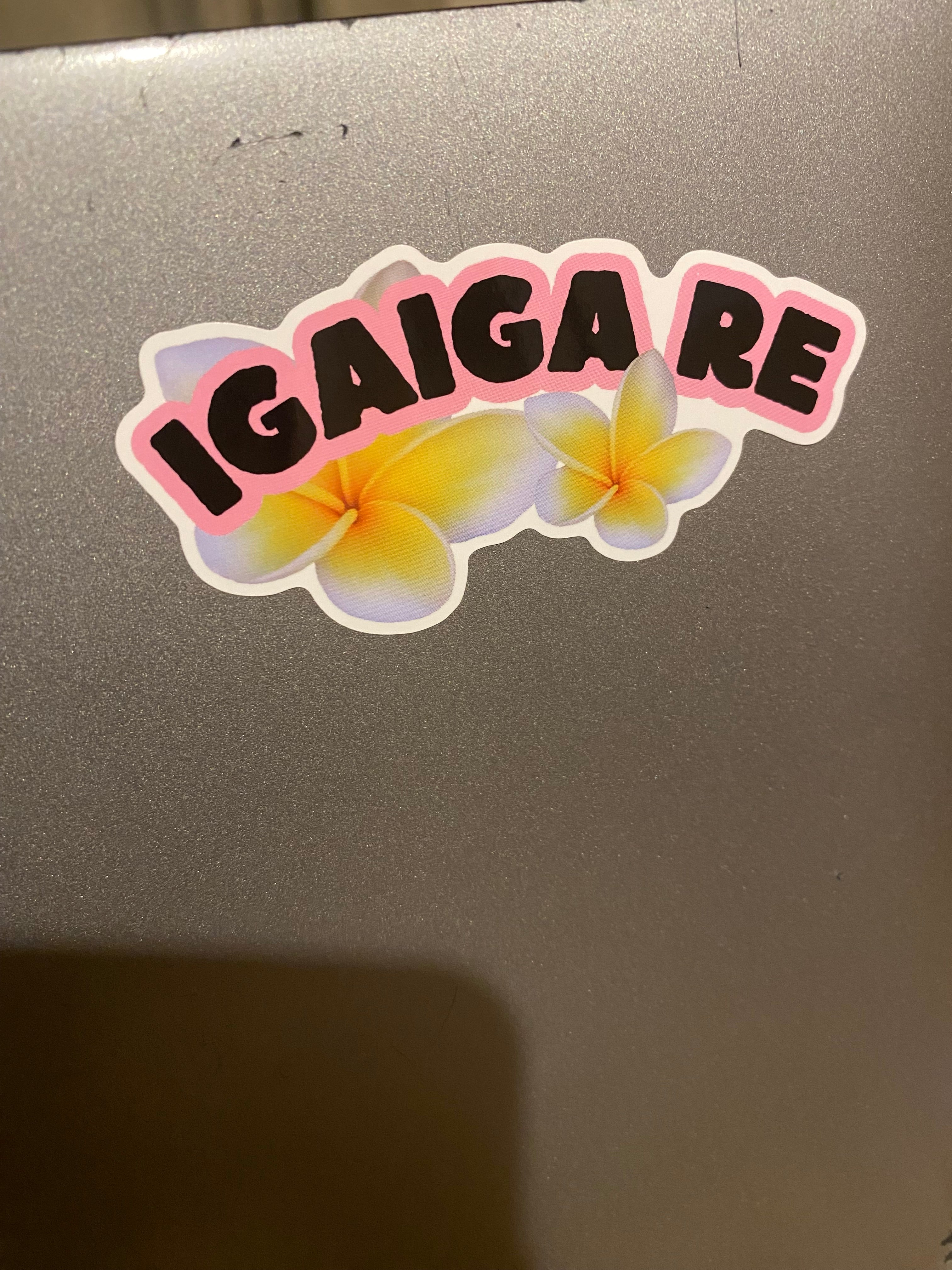 IGAIGA RE Stationery Sticker